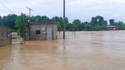 मधेश प्रदेशमा एक महिनामा विपतबाट ४६ जनाको मृत्यु