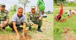 पर्साको राष्ट्रिय वनको जग्गामा विभिन्न जातका ४३ हजार बिरुवा रोपिए