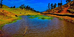 रिग तालको चर्चा चुलिएसँगै गाउँपालिकाले प्रचारप्रसार र पर्यटन प्रवर्द्धनमा जोड दिएको छ