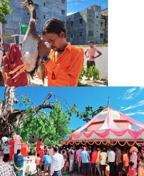 घडिअर्वाको बौद्धिमाई मन्दिरमा मेला शुरु 