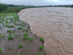  बर्षाका कारण ठोरीका खोलाहरुमा पानीको सतह बढ्यो