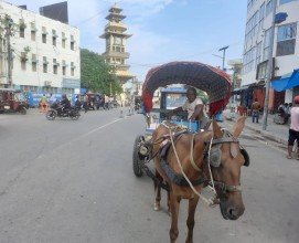 टाँगाले वीरगञ्जको ट्राफिक व्यवस्थापनमा चुनौती थप्दै