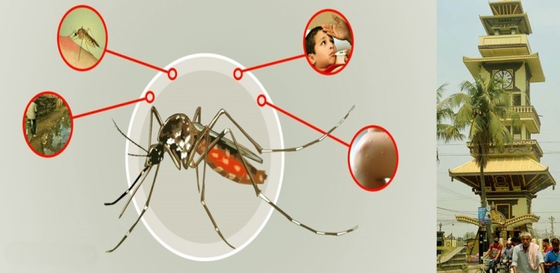 वीरगञ्ज महानगरमा कालाजार १ जना र ७ जना डेंगुका बिरामी भेटिए