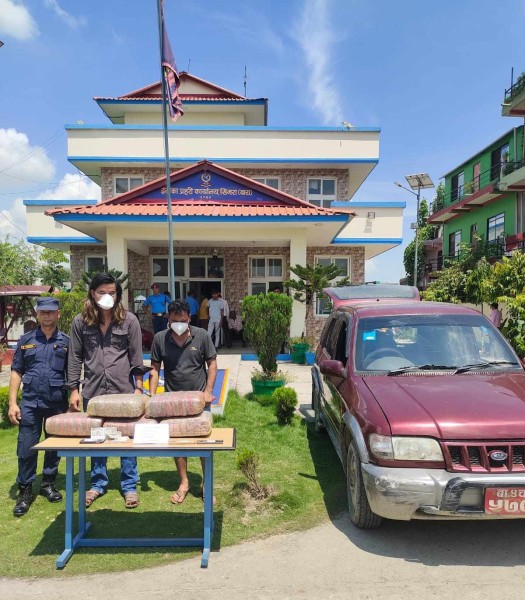 लागू औषध गाँजा सहित दुईजना पक्राउ