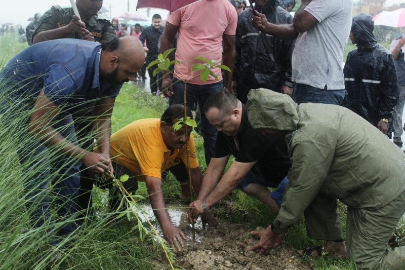  दोस्रो रथ यात्राको  अवसरमा वीरगंजमा ९ सय विरुवा रोपियो  